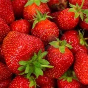 e liquide fraise