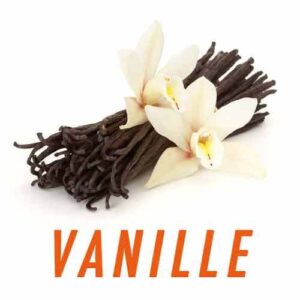 e-liquide-bio-vanille