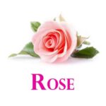 E-liquide Rose