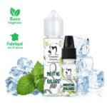 Arôme DIY Menthe Polaire