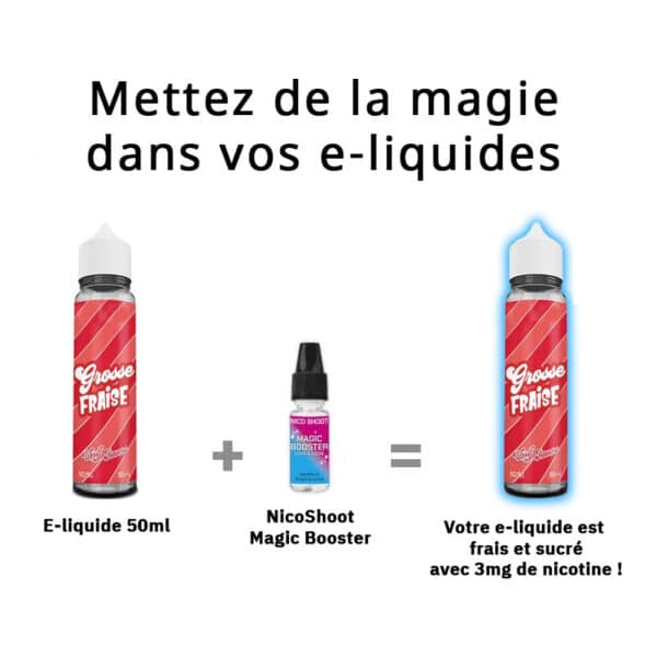 Mode d'emploi Nicoshoot Magic Booster